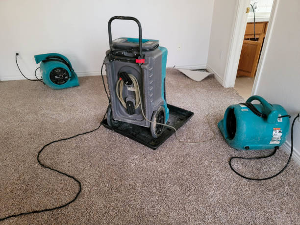 Best Water damage restoration near me  in Sea Cliff, NY