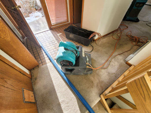 Best Fire Damage Restoration  in Sea Cliff, NY