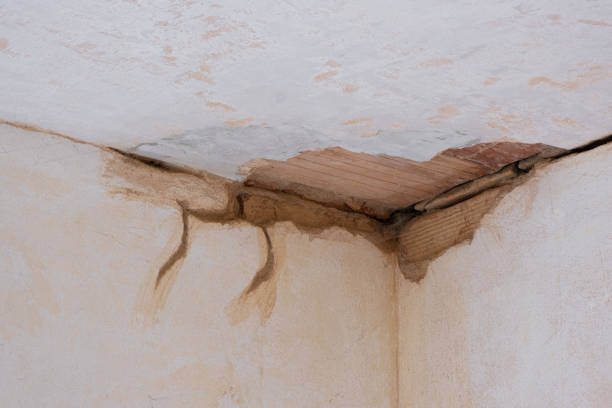 Best Emergency water damage restoration  in Sea Cliff, NY