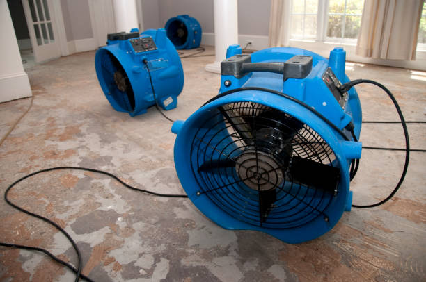 Best Water damage restoration insurance claims  in Sea Cliff, NY