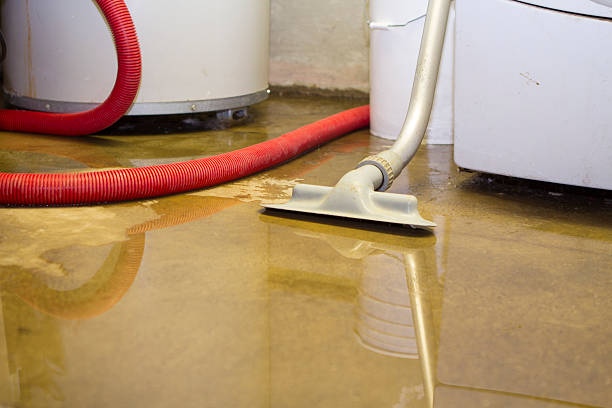 Best Carpet water damage restoration  in Sea Cliff, NY