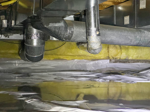 Best Water damage mitigation services  in Sea Cliff, NY