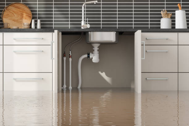 Best Flood restoration services  in Sea Cliff, NY