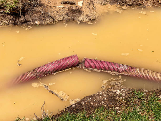 Best 24-hour water damage restoration  in Sea Cliff, NY