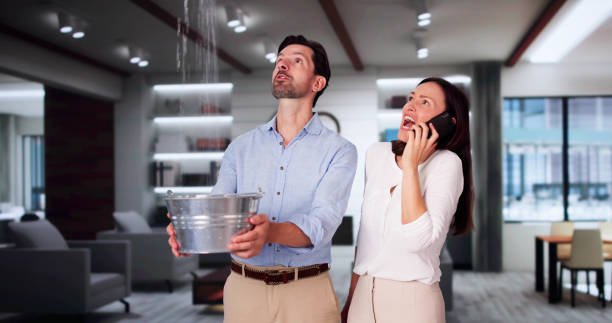 Best Water damage restoration near me  in Sea Cliff, NY