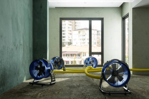 Best Commercial water damage restoration  in Sea Cliff, NY